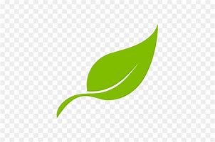 Image result for Cool Leaf Logo