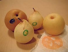 Image result for Pome Fruit Farm