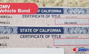 Image result for DMV Registration Services