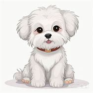 Image result for Maltese Clip Art