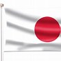 Image result for Flag in Japan