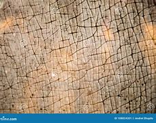 Image result for Hippo Skin Print