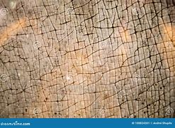 Image result for Hippo Skin Thickness