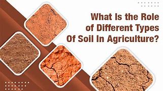 Image result for Soil Series