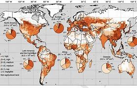 Image result for Usable Land On Earth