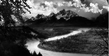 Image result for Nature Black and White High Contrast