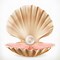 Image result for Clam Shell in Square Pixels