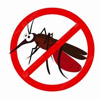 Image result for PNG Mosquito Bed