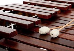 Image result for Marimba De Costa Rica