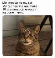 Image result for Meow Meow Meow Sad Cat