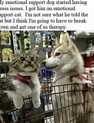 Image result for Couples Therapy Meme