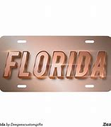 Image result for Florida License Plate