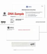 Image result for AKC DNA Certificate