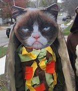 Image result for Taco Cat Costume