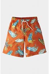 Image result for Mini Boden Boys Swim