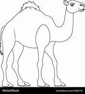 Image result for Camel and Bud