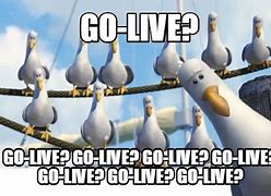 Image result for Project Go Live Memes