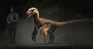 Image result for Feathered Raptor Dinosaur