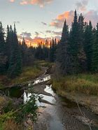 Image result for Lepas Bay Ecological Reserve Red River