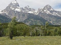 Image result for Montana Grand Teton