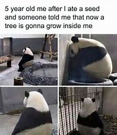 Image result for Clean Memes Bored Panda