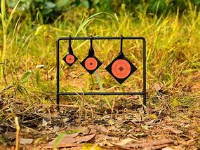 Image result for Spinning Shooting Targets