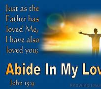 Image result for John 15 Abide in My Love