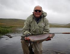 Image result for Freshwater Fly Fishing Fish