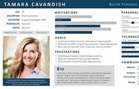 Image result for Buyer Persona Examples