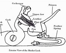 Image result for Musket Parts Diagram