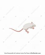 Image result for Mouse Dead Battery