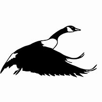 Image result for Snow Goose Decal