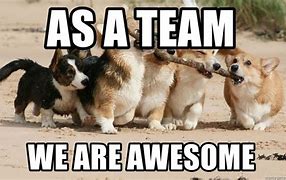 Image result for Yay Team Meme