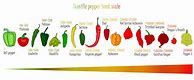 Image result for Scoville of Peppers