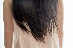 Image result for Ponytail Cut Off