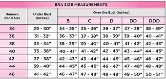 Image result for 46D Bra Size