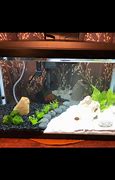 Image result for Xin You Aquarium