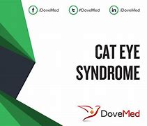 Image result for Cat Eye Syndrome