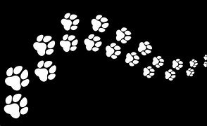 Image result for Gold Paw Print Black Background