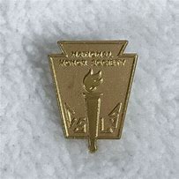 Image result for National Honor Society Lapel Pin Placement