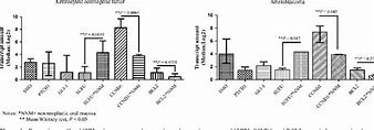 Image result for Shh Pathway Medulloblastoma