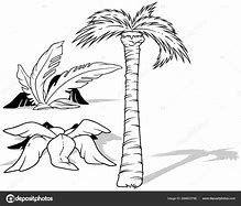 Image result for Tropical Flower Clip Art Black and White