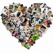 Image result for W Shape Collage