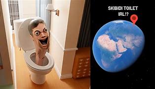 Image result for Bodea Toilet