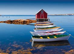 Image result for Newfoundland People