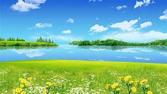 Image result for Nimted Summer Background