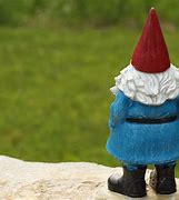 Image result for Garden Gnome Pictures