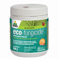 Image result for Organic Fungicide Spray