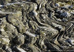 Image result for Rock Strata Yorkshire