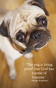 Image result for Pug Sayings